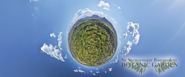 Sir Seewoosagur Ramgoolam Botanical Garden, Mauritius